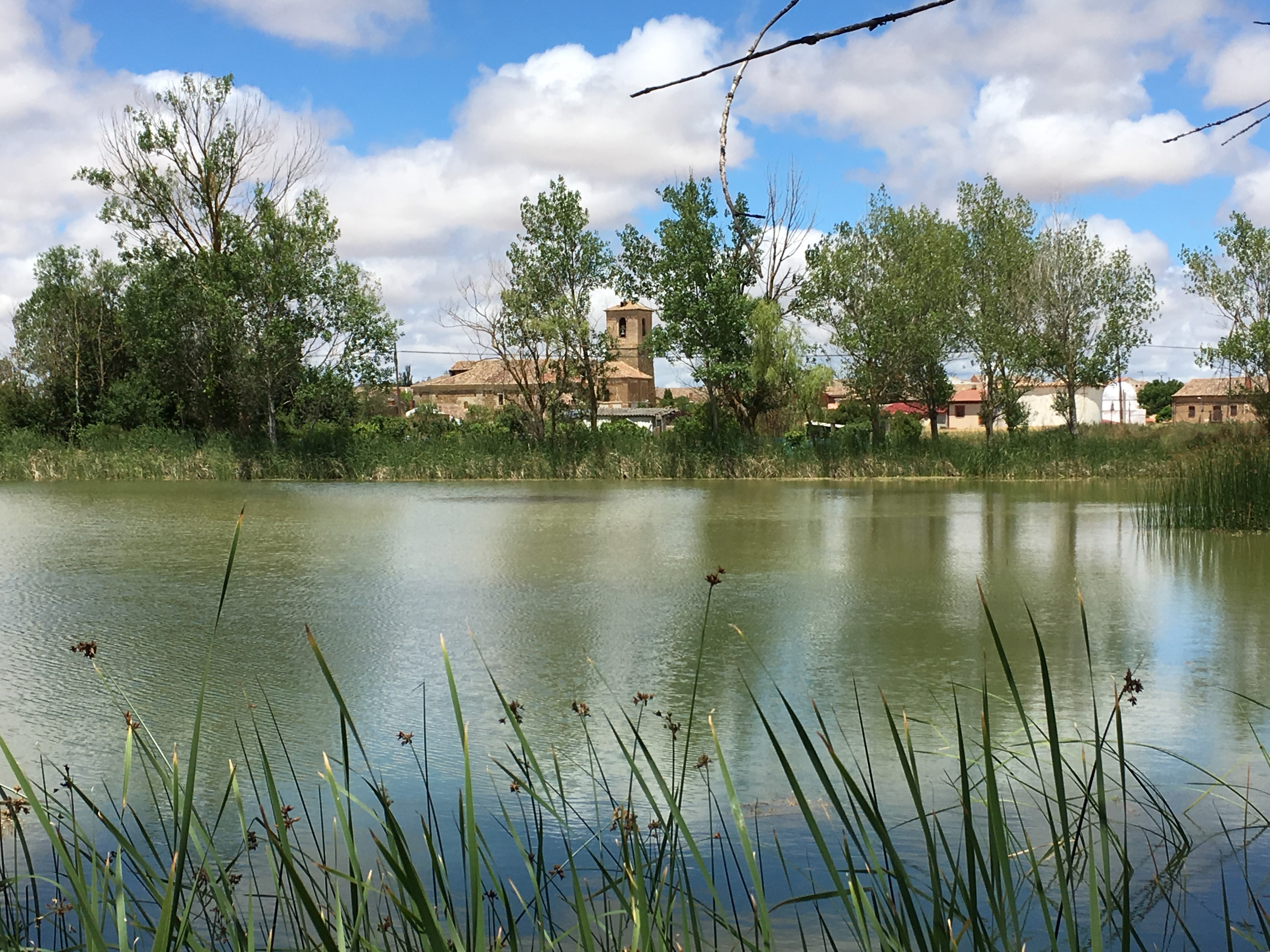 Turismo Educativo-Ambiental: Conservando el Patrimonio Natural