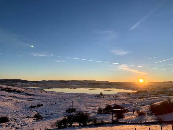 Proyecto piloto de RENATURALIZACIÓN DEL MEDIO RURAL en el entorno de la zona Norte del Embalse del Ebro