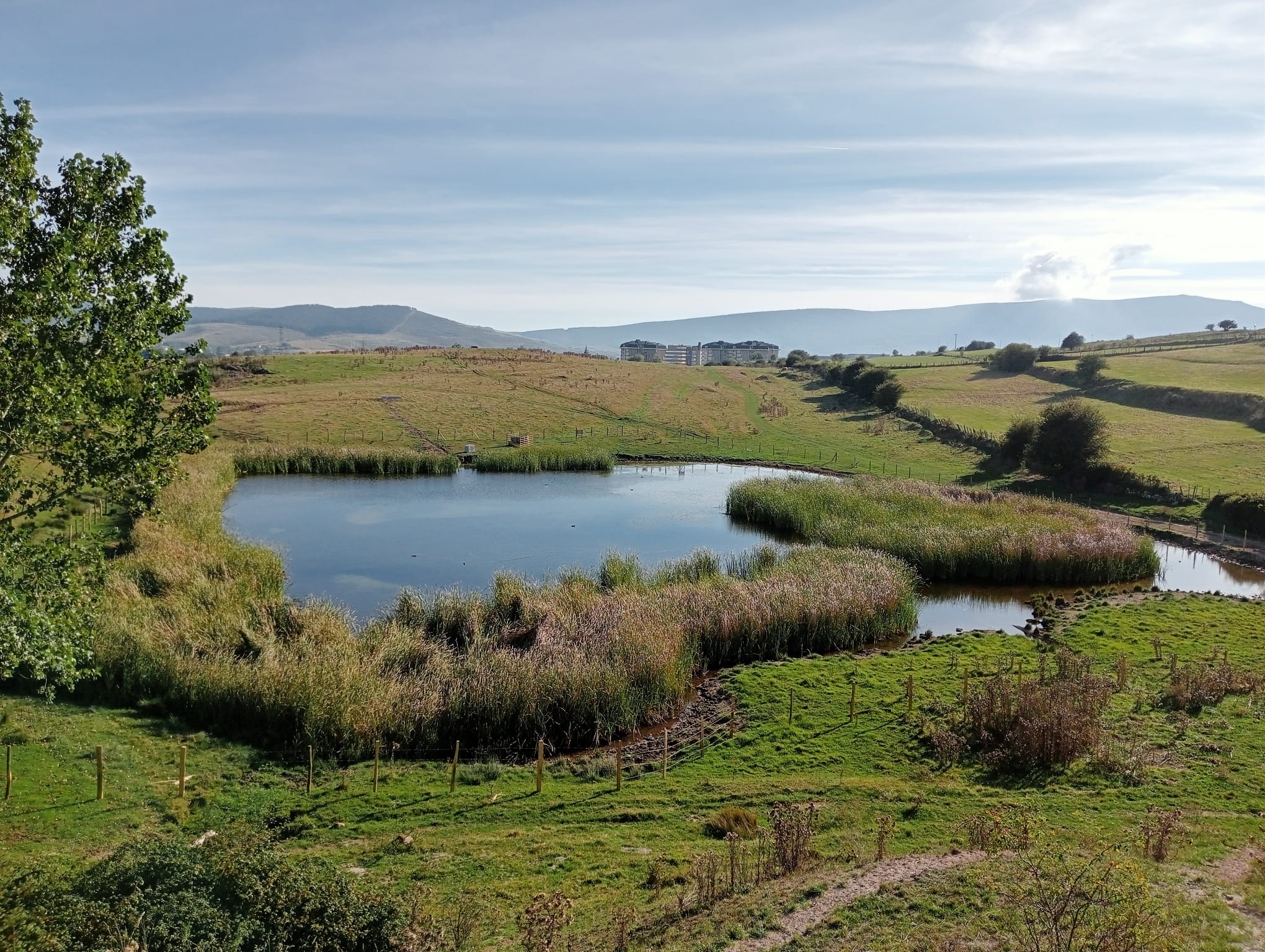 PROYECTO DE RECUPERACIÓN DE LA ZONA VERDE «LAGO DE LAS SANGUIJUELAS» CON NIÑOS