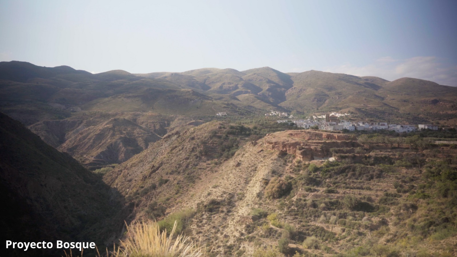 Proyecto Bosque – Regeneración del bosque mediterráneo en el Parque Natural Sierra Nevada, Almócita