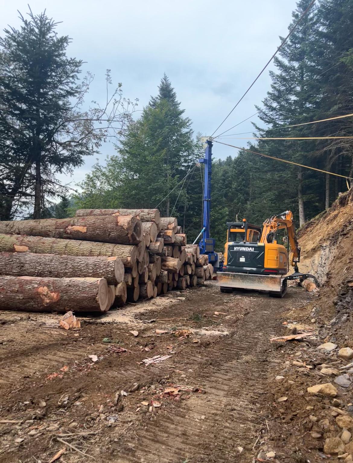 Reactivación de la gestión forestal y transición energética verde en la Val d’Aran – BòscAran